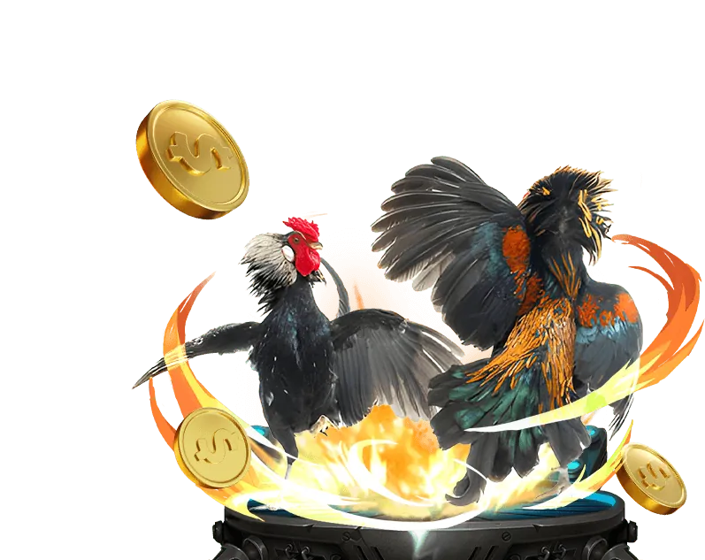 Lợi ích khi hợp tác với 365 ca cuoc